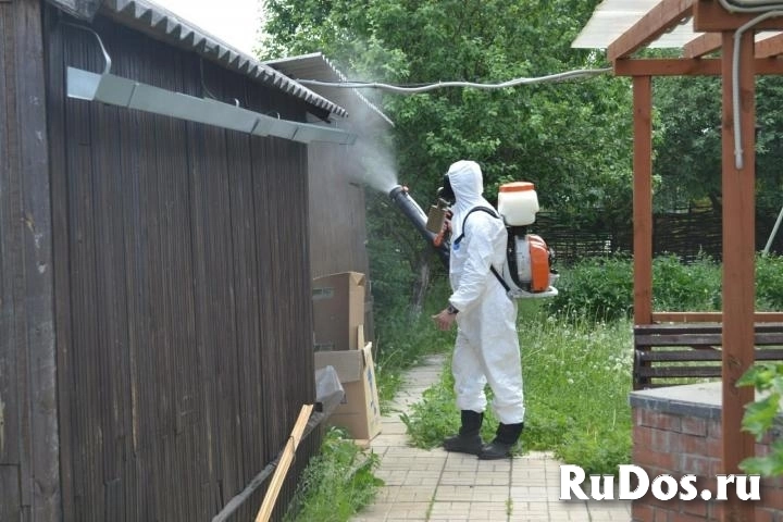 Клещи и Комары обработка уничтожение на участках Волоколамск фото