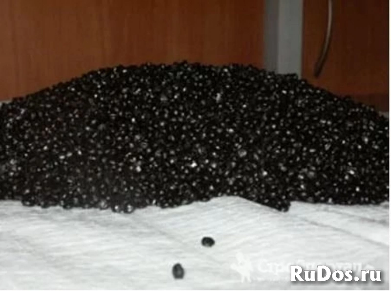 Модификатор асфальтобетона РТЭП-М фото