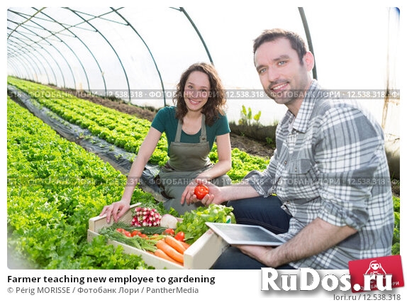 Работник теплиц фото