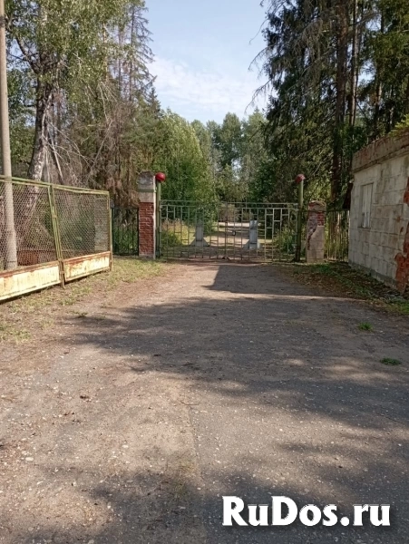 Продам коммерческую недвижимость 180500 м2 изображение 7