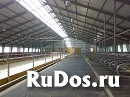 Напольное покрытие для животноводческих ферм изображение 3