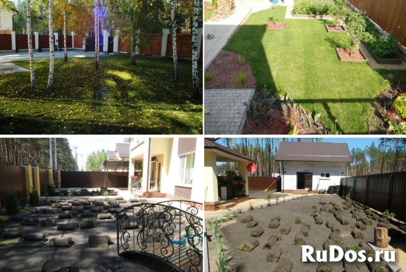 Газон рулонный и посевной Воронеж посадка фотка