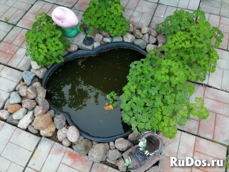 Продам участок с дачей рядом с городом изображение 9