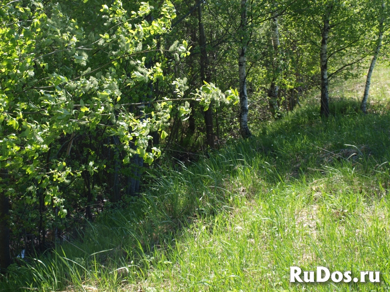 Продаётся земельный участок 40 соток для ИЖС изображение 4