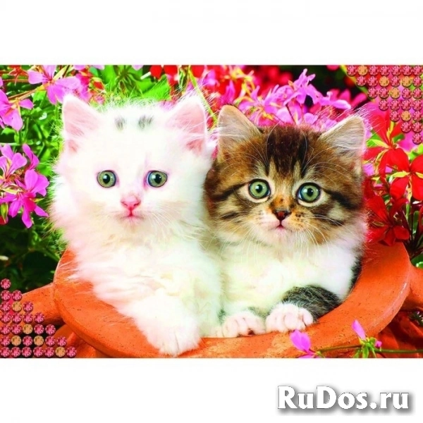 Упаковщица / Фасовщица без опыта в Тульской обл. фото