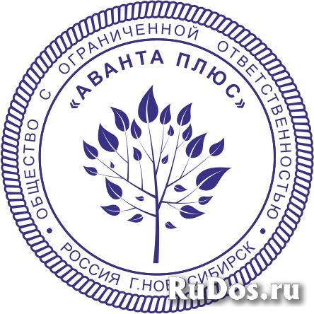 Восстановить штамп или печать  по оттиску у частного мастера изображение 6