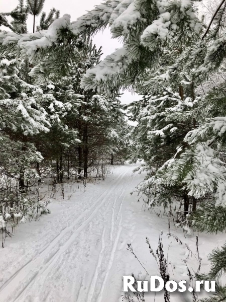 Сдам дом 80 м2 изображение 3