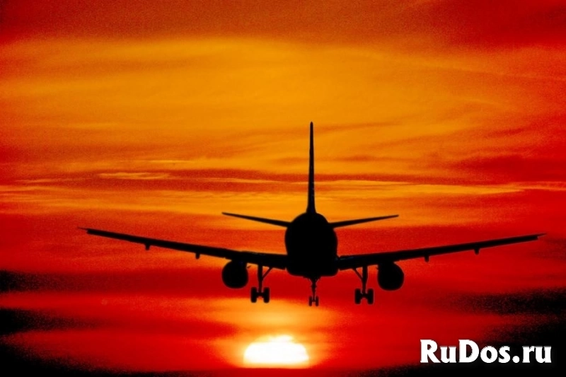 Срочная авиадоставка за 24 часа изображение 3