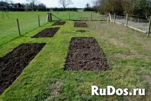 Перекапывание земли; Перекопка огорода: Недорого! Воронеж изображение 7