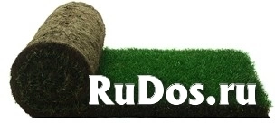 Укладка рулонного газона в Москве и области, цена под ключ за м2 изображение 4