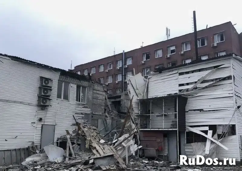 Производство мицелия 1808 м.кв изображение 11