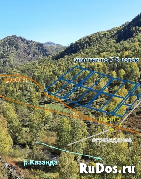 Участок 7.5 сот на Алтае в горах у речки, в дали от цивилизации. изображение 5