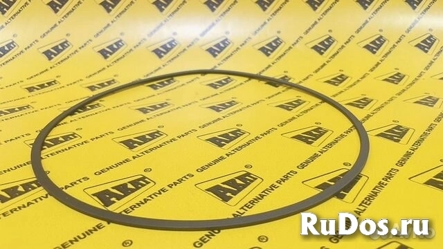 Уплотнительное кольцо  0750.112.178 изображение 3