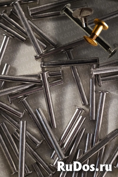 Кобурный винт. Винты для ремней. Болты для каталогов и рекламных буклетов. изображение 11