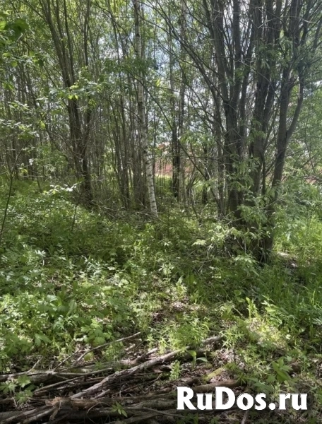 Продам участок 23 сот. изображение 3