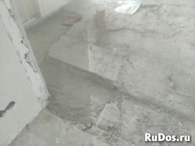 Демонтаж, вынос мусора изображение 3