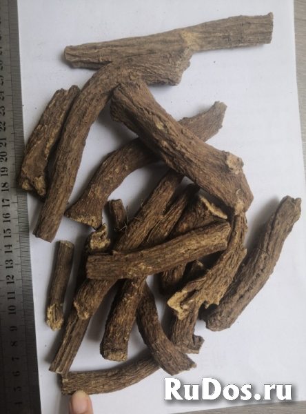 Кыст Хинди фотка