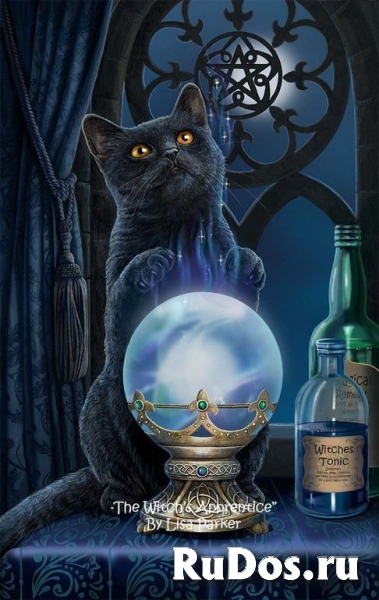 Гармонизация отношений. Гадание на Таро. фото