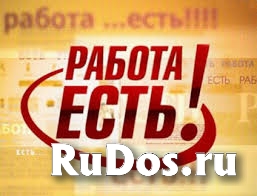 Специалист по кадрам фото