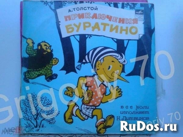 Пластинки разные изображение 6