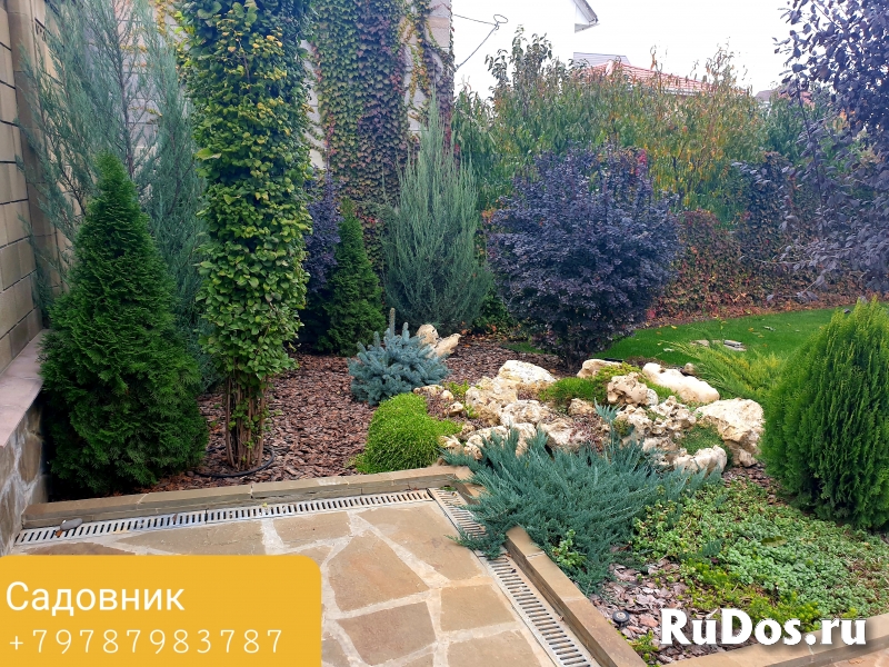 Озеленение гостиниц и отелей изображение 5