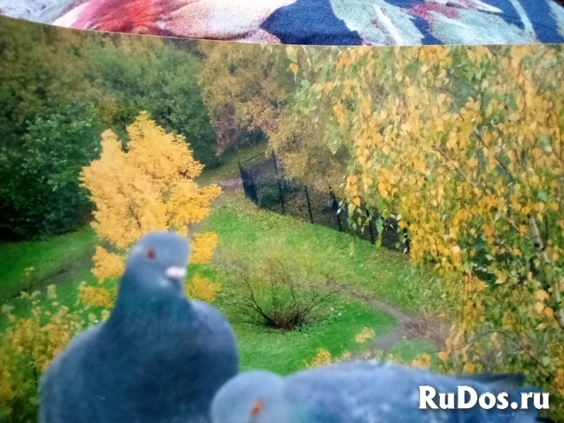 Плёночный фотоаппарат Ломо изображение 10