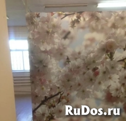 Продам коммерческую недвижимость 240.5 м2 изображение 7