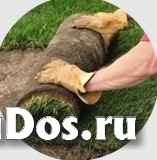 Укладка рулонного газона в Москве и области, цена под ключ за м2 фотка