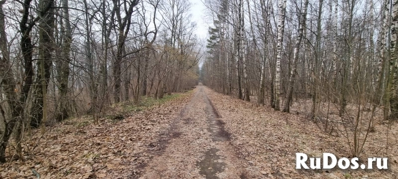 Продам коммерческую недвижимость 15000 м2 фотка