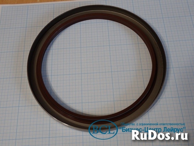 Сальник уплотнение seal ring babbini 185х225х16 изображение 6