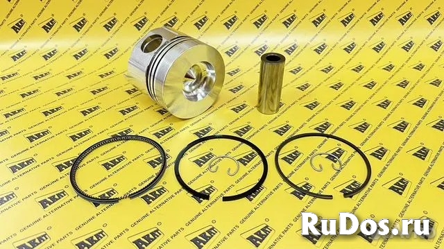 Поршень в сборе STD PN-36100 изображение 5