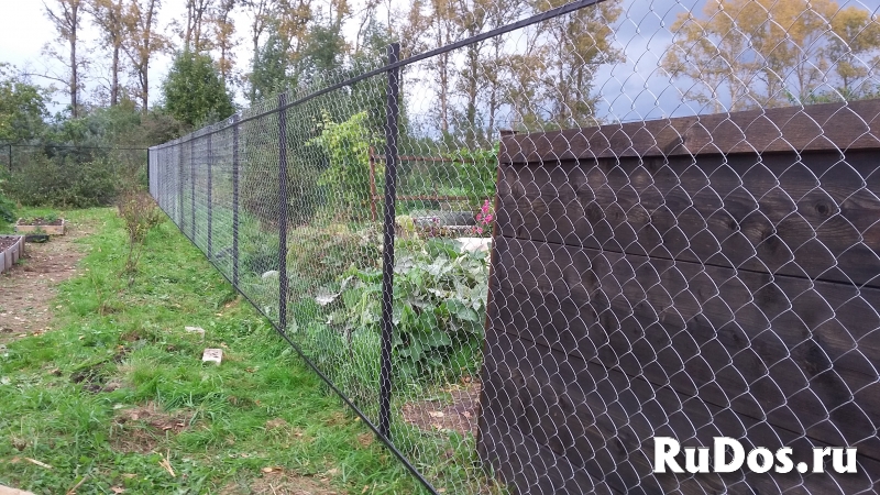 Забор из сетки Рабица изображение 6