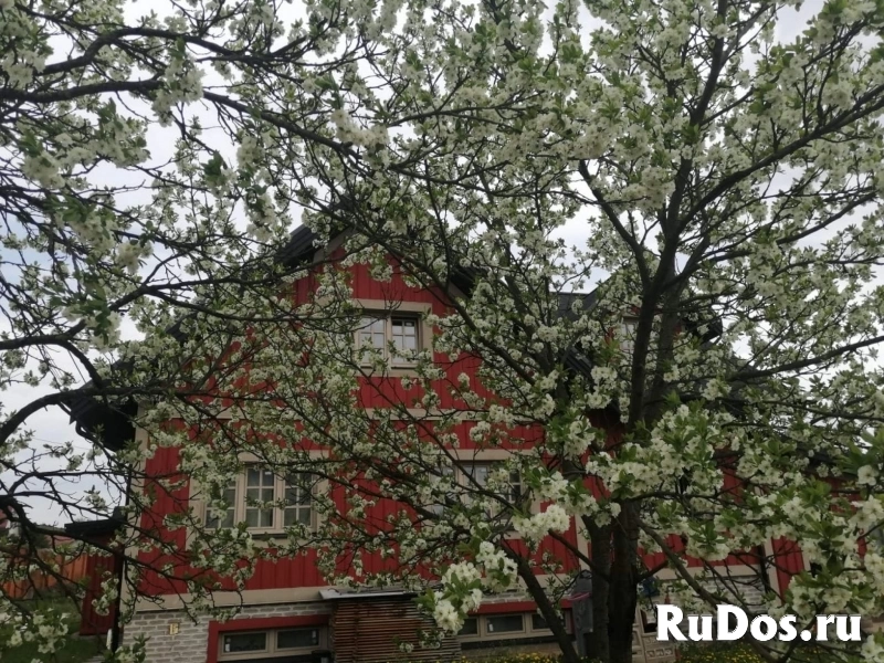 Продам коттедж 375 м2 изображение 8