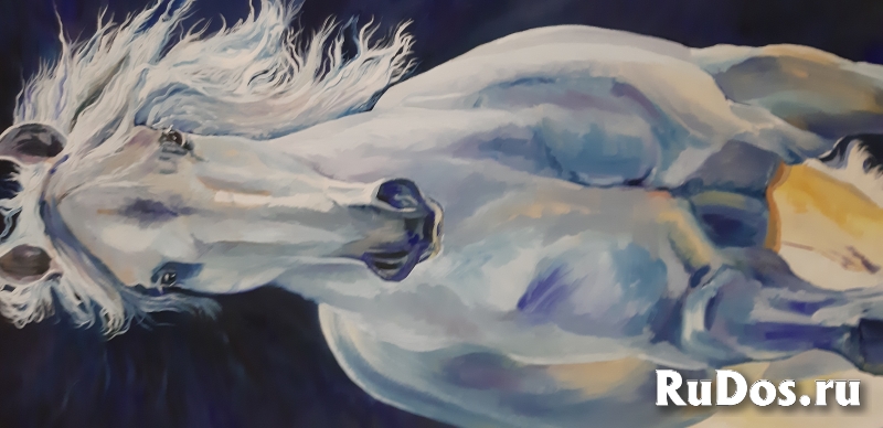 Влад Михайлов Новосибирск. Как всякий образованный человек, вырос изображение 6