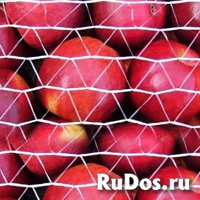Паллетная сетка фотка