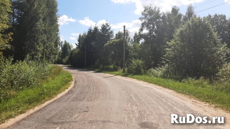 Уютный участок под строительство дома в березовой роще изображение 3