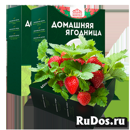 Домашняя ягодница для выращивания клубники фотка