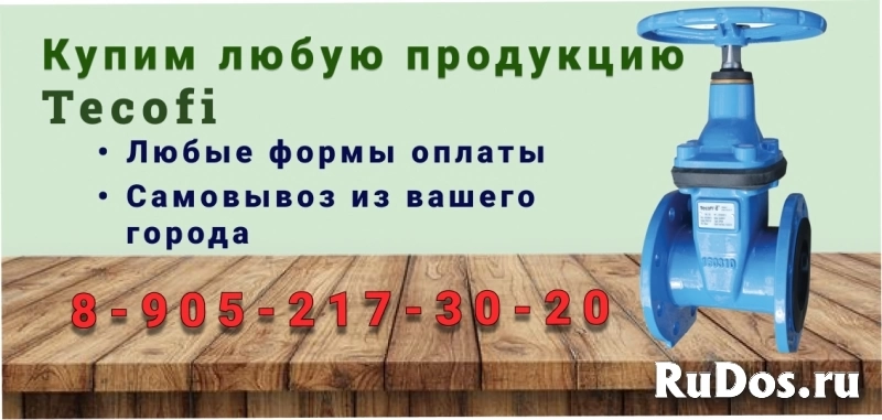 Куплю Задвижки чугунные с обрезиненным клином. Tecofi фото