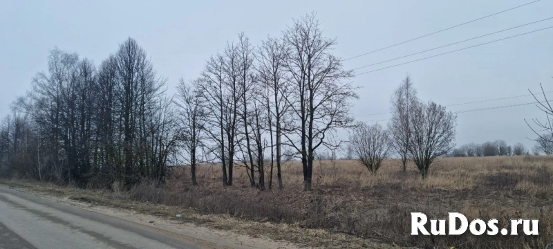 Продам участок 1440 сот. изображение 8