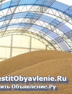 Ангары, склады, зернохранилища, фермы изображение 3