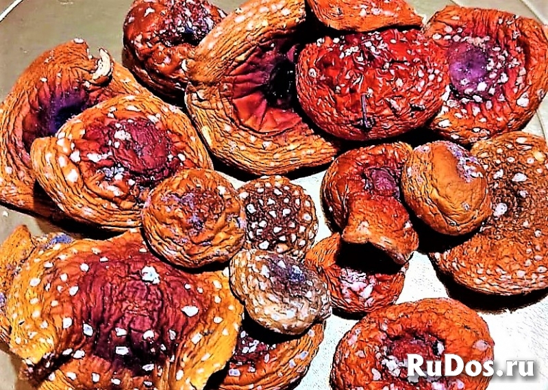 Сушеные мухоморы шляпки изображение 11