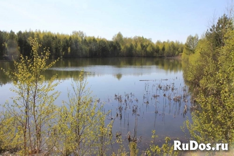 Сдам земельный участок 2 га изображение 9