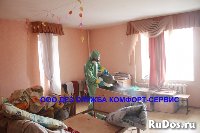 Уничтожение клопов холодным туманом изображение 8