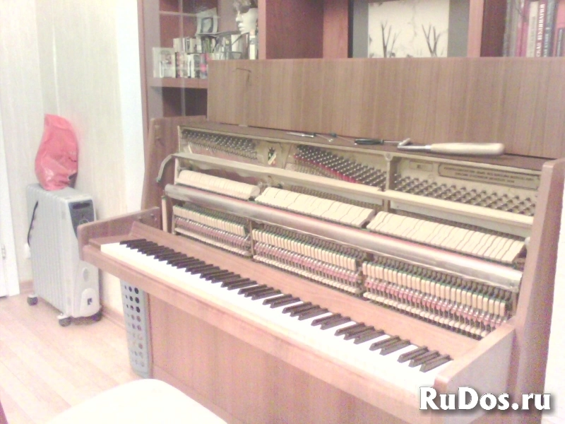 Настройка фортепиано (пианино и роялей) фото