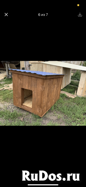 Собачья будка фотка