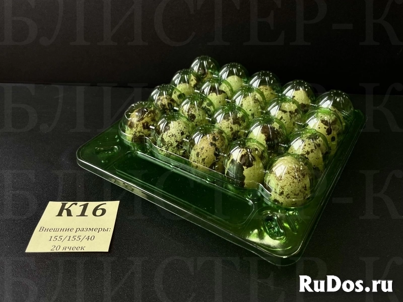 КОРРЕКС (УПАКОВКА) ПОД ПЕРЕПЕЛИНОЕ ЯЙЦО с 20-ю ячейками. фото