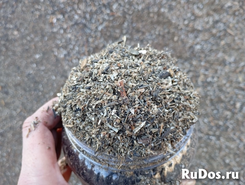 Отходы семян подсолнечника навалом изображение 6