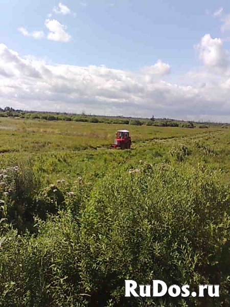 Продаётся земельный участок сельхоз. назначения площадью 10 га фотка