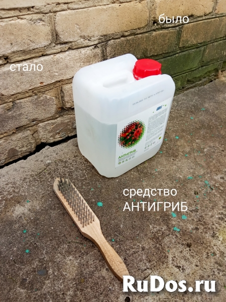 Антигриб супер против плесени грибка на стенах изображение 3
