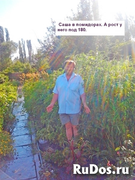 г.Алчевск, Луганской. Продам дачу, 2-а этажа, вдхр. Исаково, от База/О "Дельфин" первая линия, 6 м. от воды. изображение 4